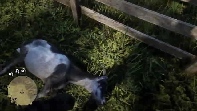 Red Dead Redemption 2 Is Really Fun...