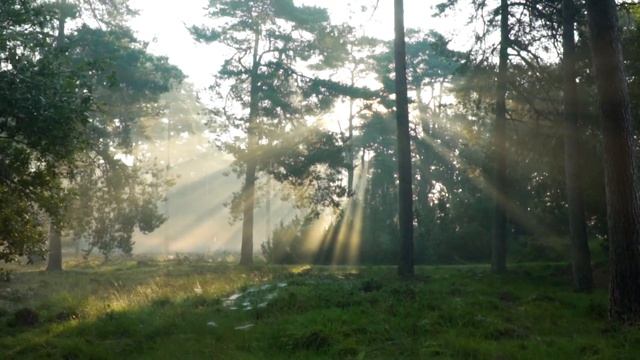 Медитация для новичков смотреть онлайн