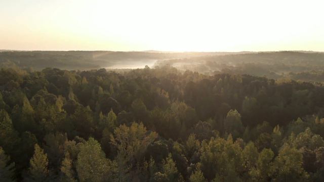 RELAXING MUSIC FOR A QUIET SLEEP TO THE SOUND OF THE PIANO #relaxing#piano#relaxingtime смотреть онлайн
