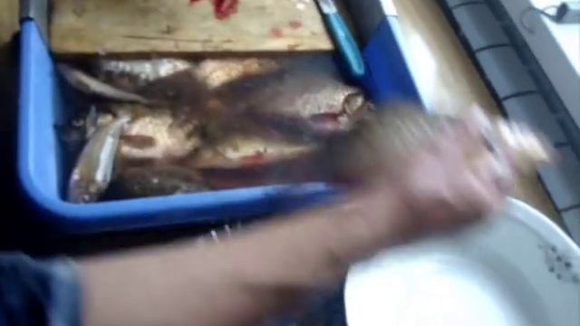 Приспособление для чистки рыбы. Как правильно потрошить карасей смотреть онлайн
