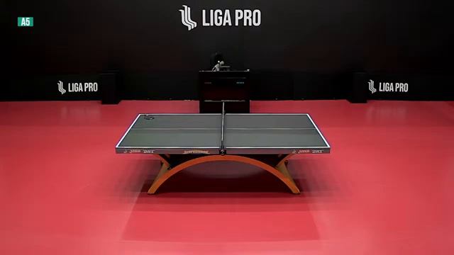 Настольный теннис. А5. Турнир 26 января 2023г. 15:30