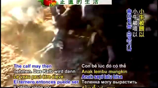 WHERE YOUR BEEF COMES FROM 2 смотреть онлайн