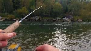 Мушка против блесны. Ловля хариуса 2021!