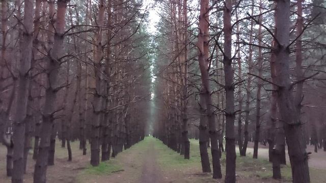 Покаяние за поношение Божьих помазанников . Денис Орловский. смотреть онлайн