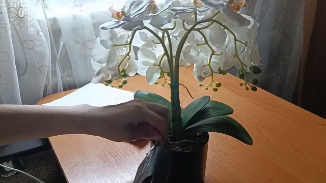 Создание композиции с орхидеей и листьями фаленопсиса смотреть онлайн