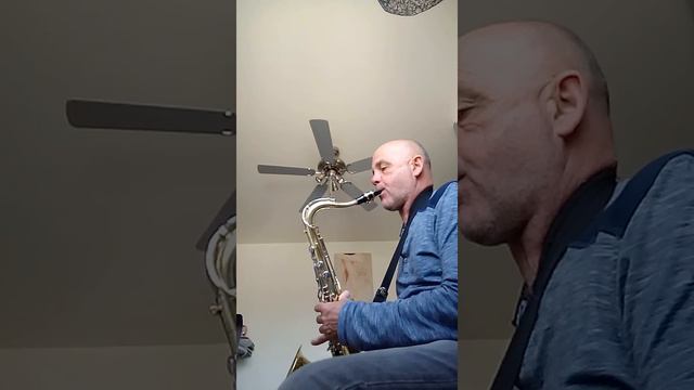 Are tout havin' any fun saxophone ténor Yamaha yts 23 смотреть онлайн