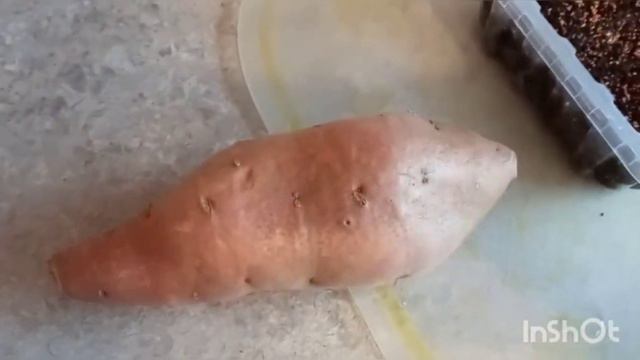 Сею землянику, проращиваю батат. 23.01.23 смотреть онлайн