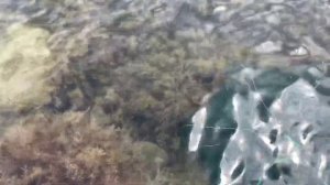 Как ловить крабов на чёрном море? Хороший улов. Посёлок Орджоникидзе.