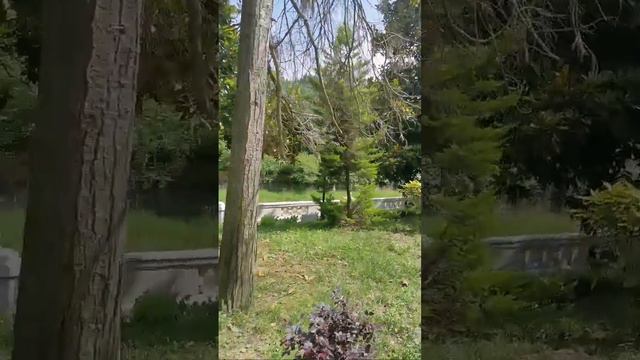 Сейчас нахожусь в мацесте город Сочи смотреть онлайн