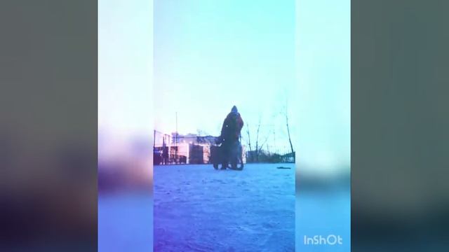 Жизнь с собакой – это ежедневные прогулки (кинофестиваль «Мы САМИ» – 2020, Чита) смотреть онлайн