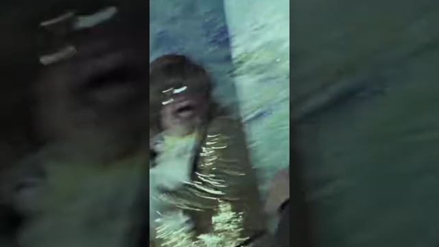 Сапогов- как вид искуства смотреть онлайн