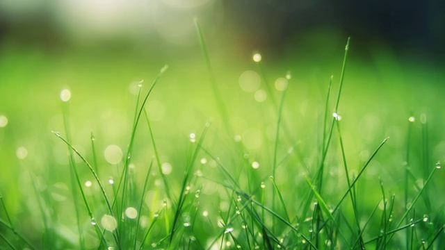 Практика "Знакомство с телом" .mp4 смотреть онлайн