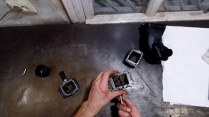 ИЖ ПЛАНЕТА 5, Лепестковый Клапан? Форсированный Движок?