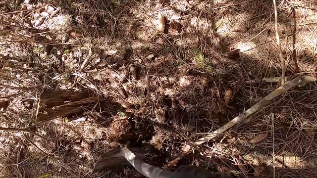 ОБАЛДЕЛИ ОТ ТАКИХ НАХОДОК — КОП МЕТАЛЛА В ЛОГАХ У ЛЭП смотреть онлайн