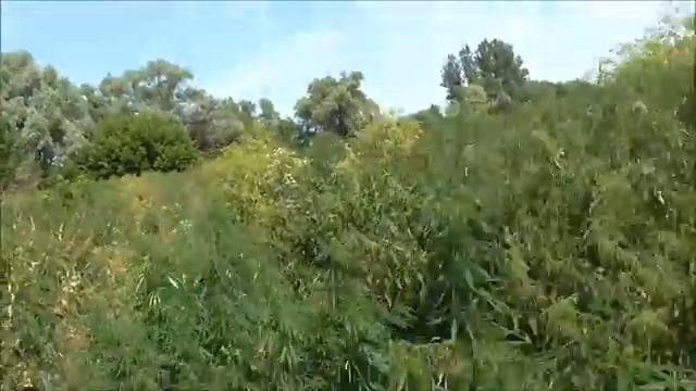 Поход по реке Ирпень №2 "возвращение" смотреть онлайн