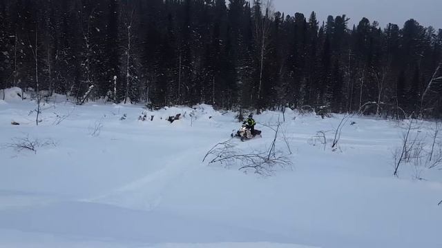 Тёмыч54 Шерегеш Фрирайд смотреть онлайн