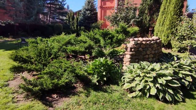 Обрезка можжевельника часть 3 смотреть онлайн