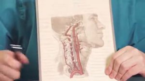 Шум в ушах советы от Доктора Шишонина  Причины  Простое упражнение