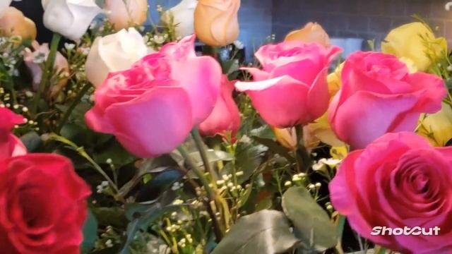 САМАЯ КРАСИВАЯ МУЗЫКА И ВОСХИТИТЕЛЬНЫЕ РОЗЫ . ВОЛШЕБСТВО КРАСОК. смотреть онлайн