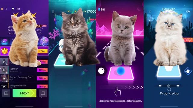 Cute Cats | Jisoo Flower vs Lady GaGa Wednesday vs Fifty Fifty Cupid vs Blackpink смотреть онлайн