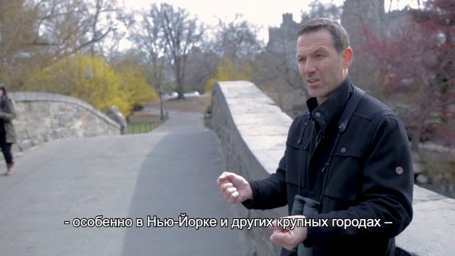 Защитить птиц – защитить будущее смотреть онлайн