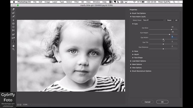 Face aware liquify i Photoshop CC 2015.5 смотреть онлайн