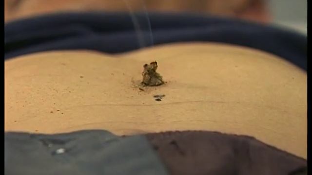 О жизни и просветлении. Принципы Буддизма с Далай-Ламой. Менла смотреть онлайн