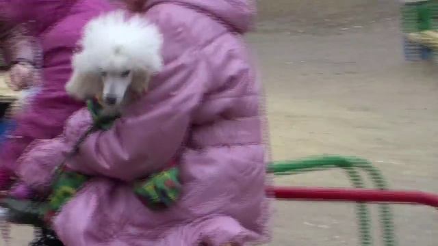 В юном месяце апреле смотреть онлайн