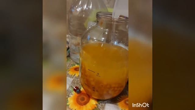 Облепиховая настойка  2022