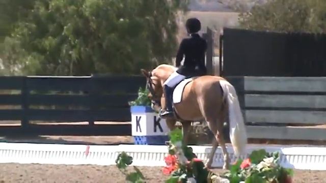 Gittle ROA first level test 3 8/20/11 смотреть онлайн