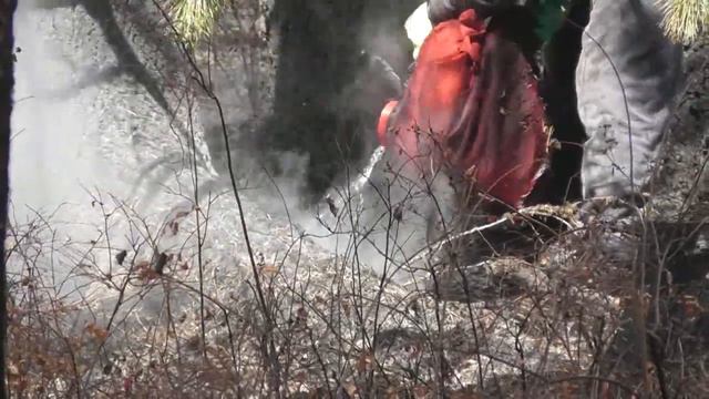 Тыва.  Кара-Суг тайгазы Эрзин кожуун