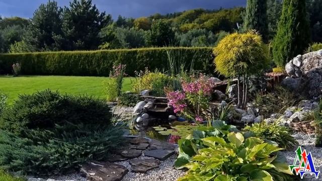 АЛЬМА 47. Борьба за существование окончилась полной победой Кости и верной Альмы смотреть онлайн