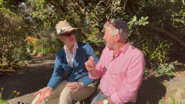 How to grow Oxalis in the garden...don't be frightened!!! These ones aren't thuggish spreaders!! смотреть онлайн