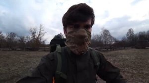 Дикие коровы в Чернобыле они реально существуют Уникальные животные Чернобыльской Зоны Отчуждения