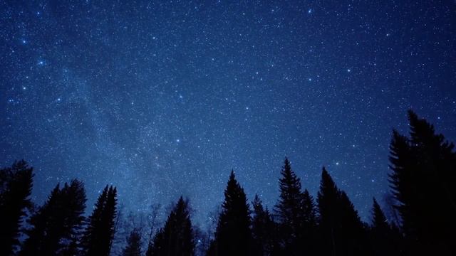 Flaviu Costin THE WOLF SONG   Nordic Lullaby [Vargsången] ( Jonna Jinton) VIOLIN COVER
