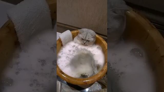 2022-11-14 смотреть онлайн