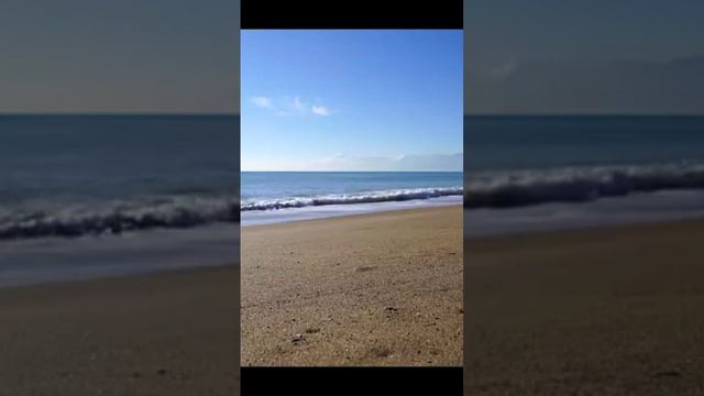 Морские виды смотреть онлайн