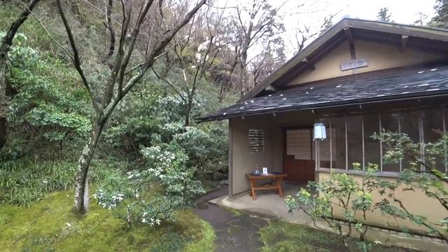 Бомбическая Япония & День цветения Сакуры смотреть онлайн