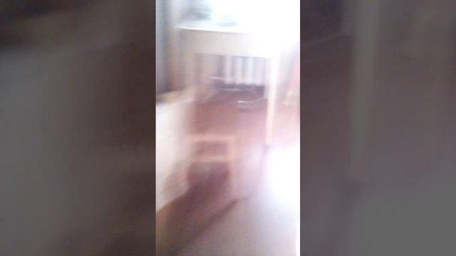 включайте ссылку потому что я буду танцевать в конце танец у мужа нет прав смотреть онлайн