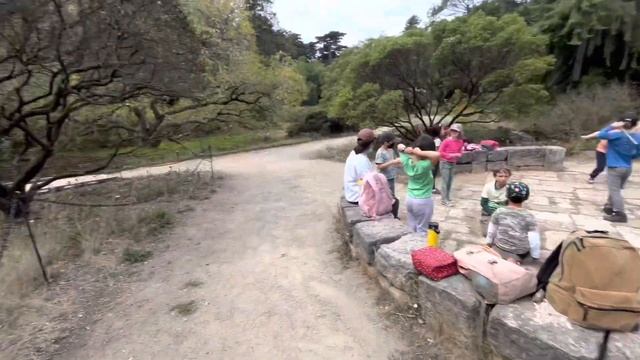 San Francisco. Botanical garden. Hi, Linda! My new subscriber! #СанФранц. #ботаническийсад #GerekC смотреть онлайн