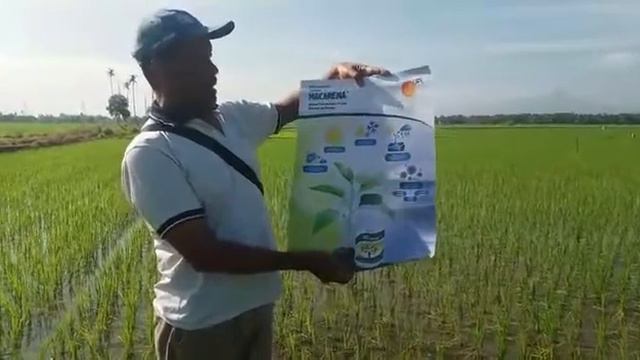 Macarena Testimoni 4 Aidil смотреть онлайн