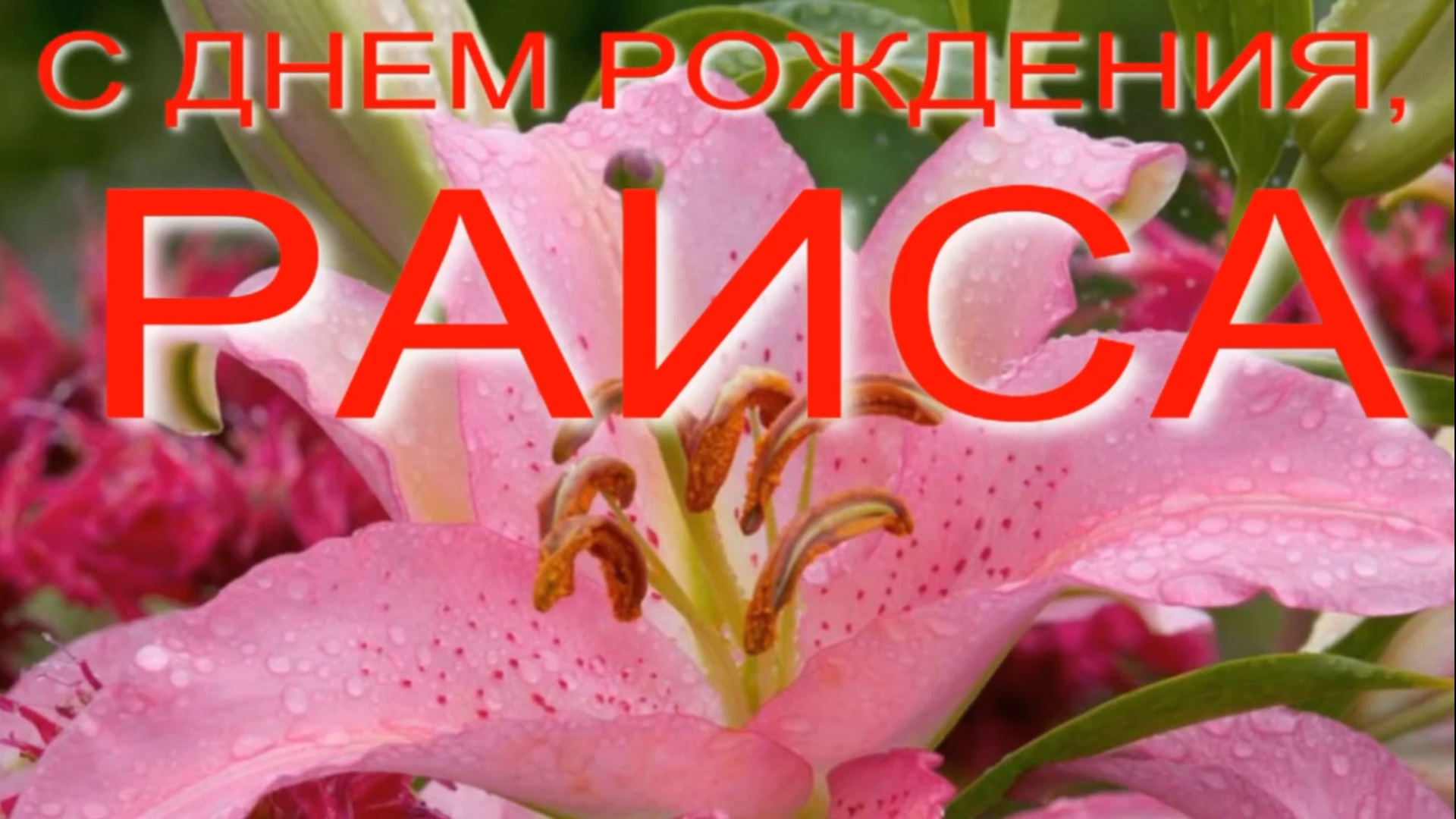 С ДНЕМ РОЖДЕНИЯ, РАИСА смотреть онлайн