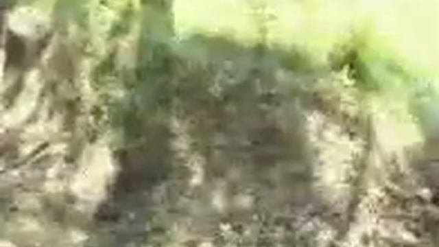 Трофи школа Оками Спорт, часть 2 Опасные ситуации смотреть онлайн