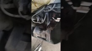 Ацкая смесь - мовиль+пушечное сало