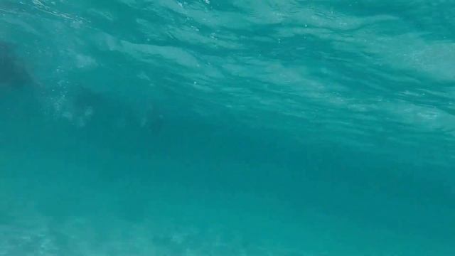 Turtle Bay 8 смотреть онлайн