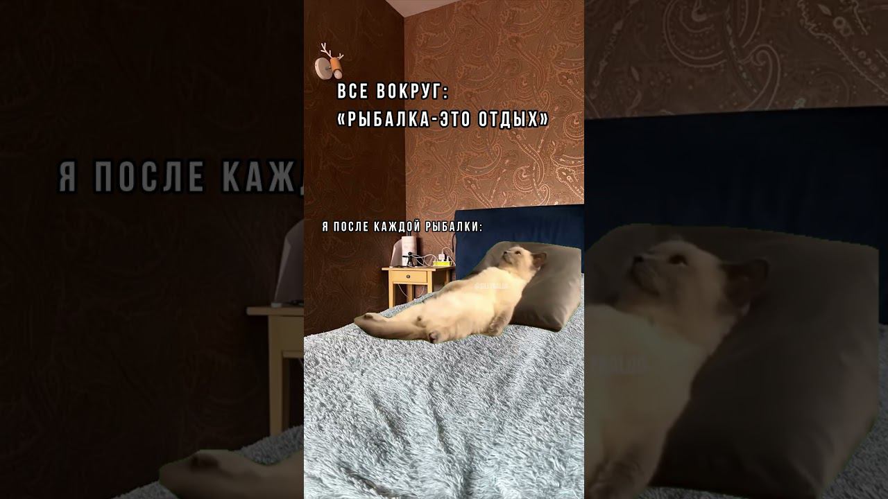 Отдохнул во - #мемы #рыбалка #юмор смотреть онлайн