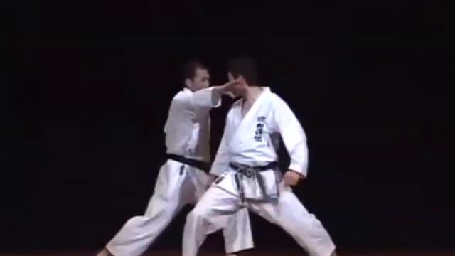 Shotokan Karate Demonstration - Hirokazu Kanazawa смотреть онлайн