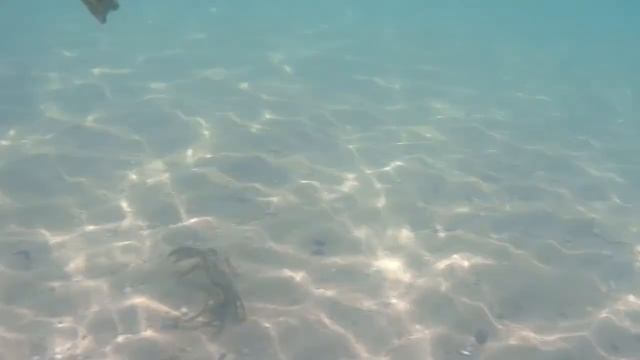 VLOG. АВТОСТОПОМ НА МОРЕ. ЖИВУ НА НЕОБИТАЕМОМ ОСТРОВЕ ДЖАРЫЛГАЧ. ДЕНЬ 2 смотреть онлайн
