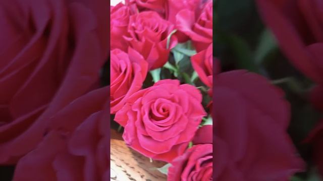 Букет из 21 розы (Черная магия) смотреть онлайн