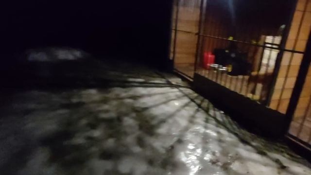 Ужин на 10 лаек